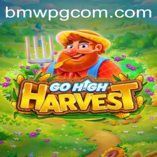BmwPG.com Casino App