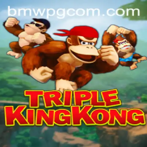BmwPG.com Casino App